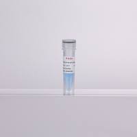 2×高特异性通用染料法qPCR预混液(含示踪剂)-500rxns