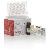 Invitrogen Human TNF alpha Uncoated ELISA Kit