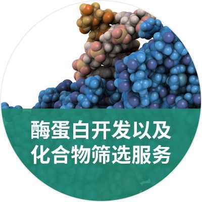 化合物筛选和分析服务