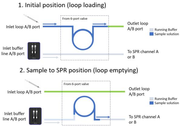 利用P4SPR分子互作仪进行抗体结合分析——比较静态和动态 SPR 特性
