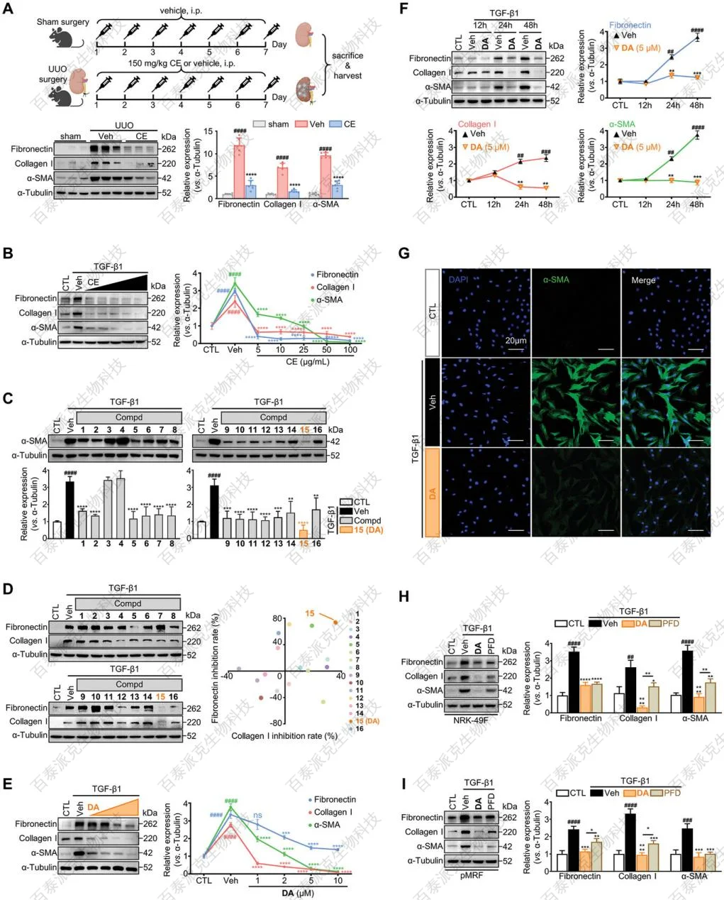 chemical-proteomics-gx2-1