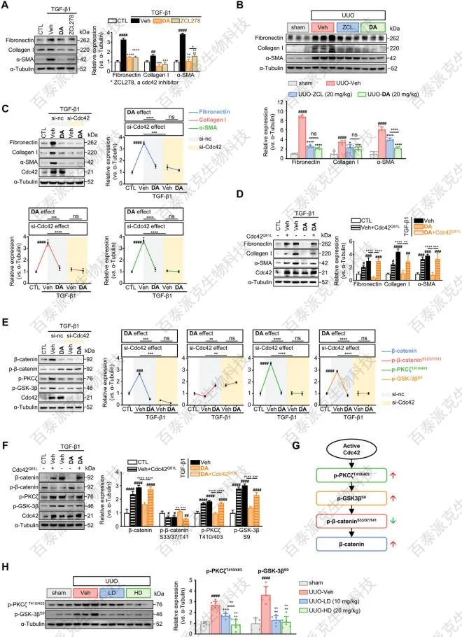 chemical-proteomics-gx2-7