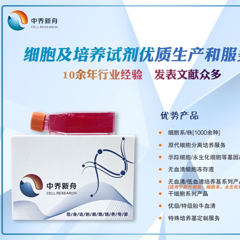 人骨髓来源巨噬细胞