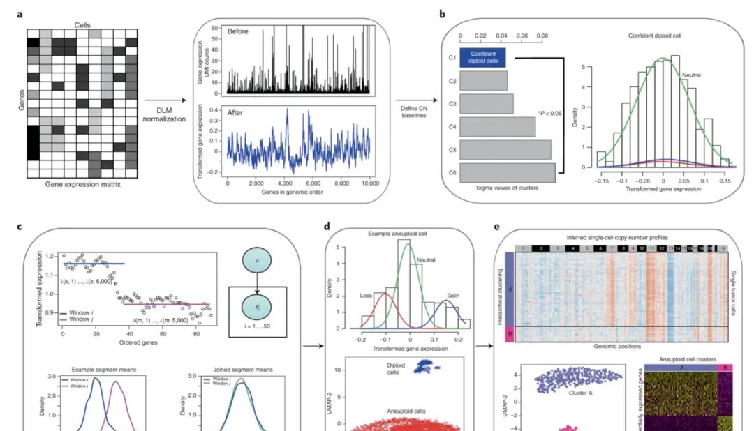 使用CopyKAT鉴定恶性细胞