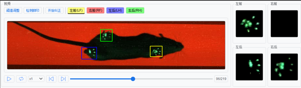 大小鼠步态分析 步态行为分析系统