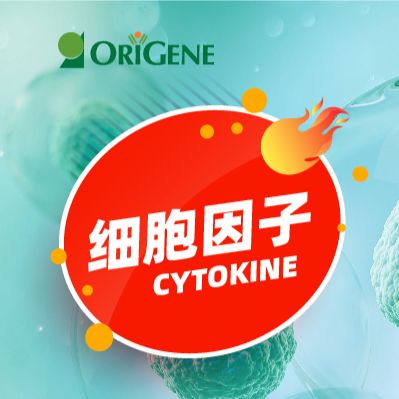 细胞因子