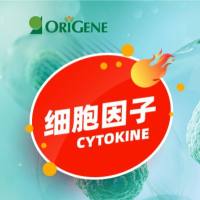 细胞因子