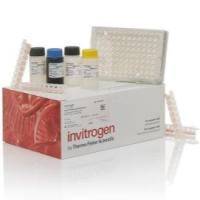Invitrogen Human CD30 Instant ELISA™ Kit