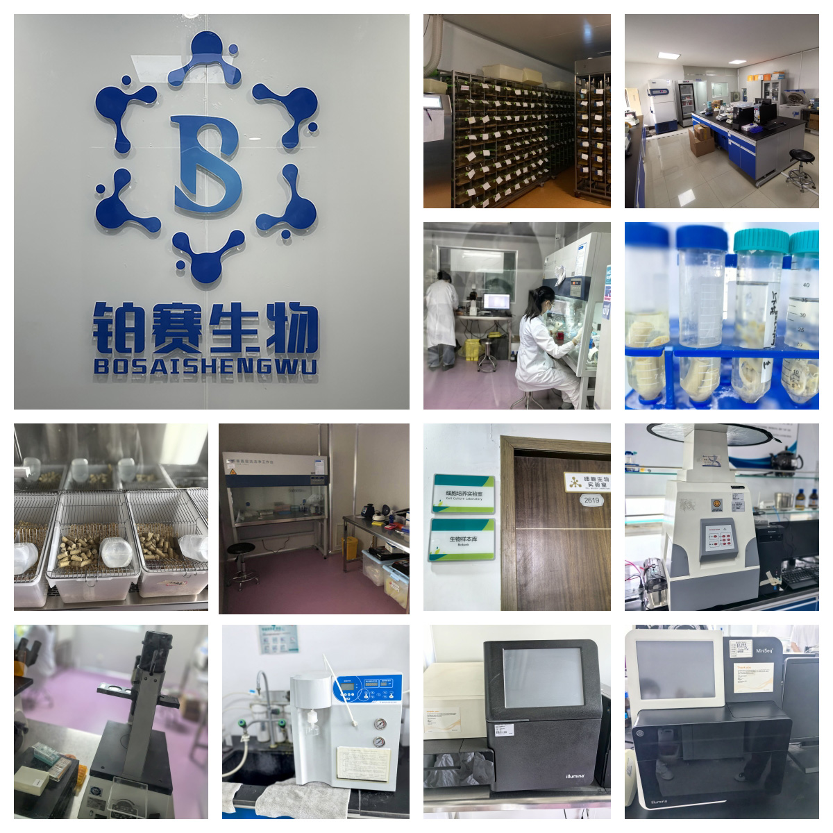 医学实验#动物实验#细胞实验#分子实验#纳米转化医学#课题思