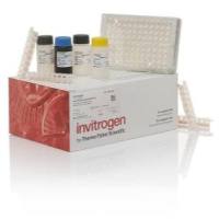 Invitrogen Human CD80 (Soluble) Instant ELISA™