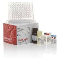 Invitrogen Human IgG4 Uncoated ELISA Kit with Plates