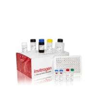Invitrogen Basic ELISA 试剂盒