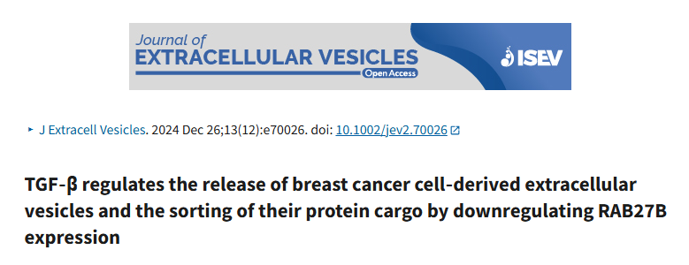 “TGF-β和RAB27B联手调控细胞外囊泡释放和蛋白分选”—5图轻松拿捏15+，什么神仙思路？如此简单有出彩！