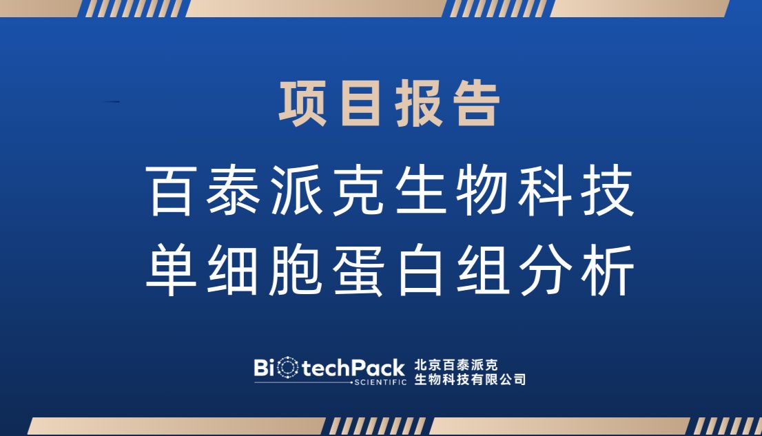 项目报告 | 百泰派克生物科技单细胞蛋白组分析