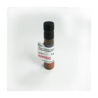 PEI MAX® - Transfection Grade Linear Polyethylenimine Hydrochloride (MW 40,000)