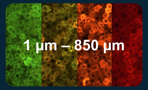 Adamas nano 纳米颗粒产品简介4