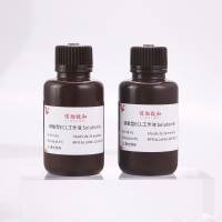 超敏型ECL发光试剂盒-500ml