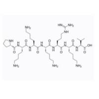 NLS (PKKKRKV)  CAS号： 95088-49-6 Pro-Lys-Lys-Lys-Arg-Lys-Val   核定位信号肽