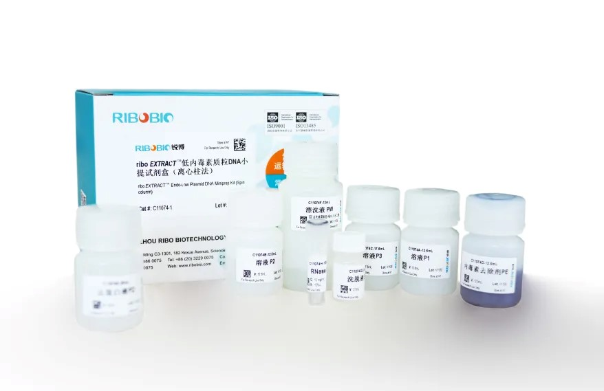 新品上市丨低内毒素质粒DNA小提试剂盒