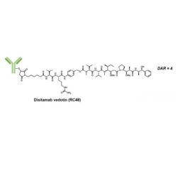 Disitamab vedotin/RC48 2136633-23-1 抗体偶联药物 针对HER2的ADC药物 维迪西妥单抗价格_品牌 ...