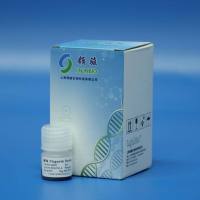 单分散羧基磁球