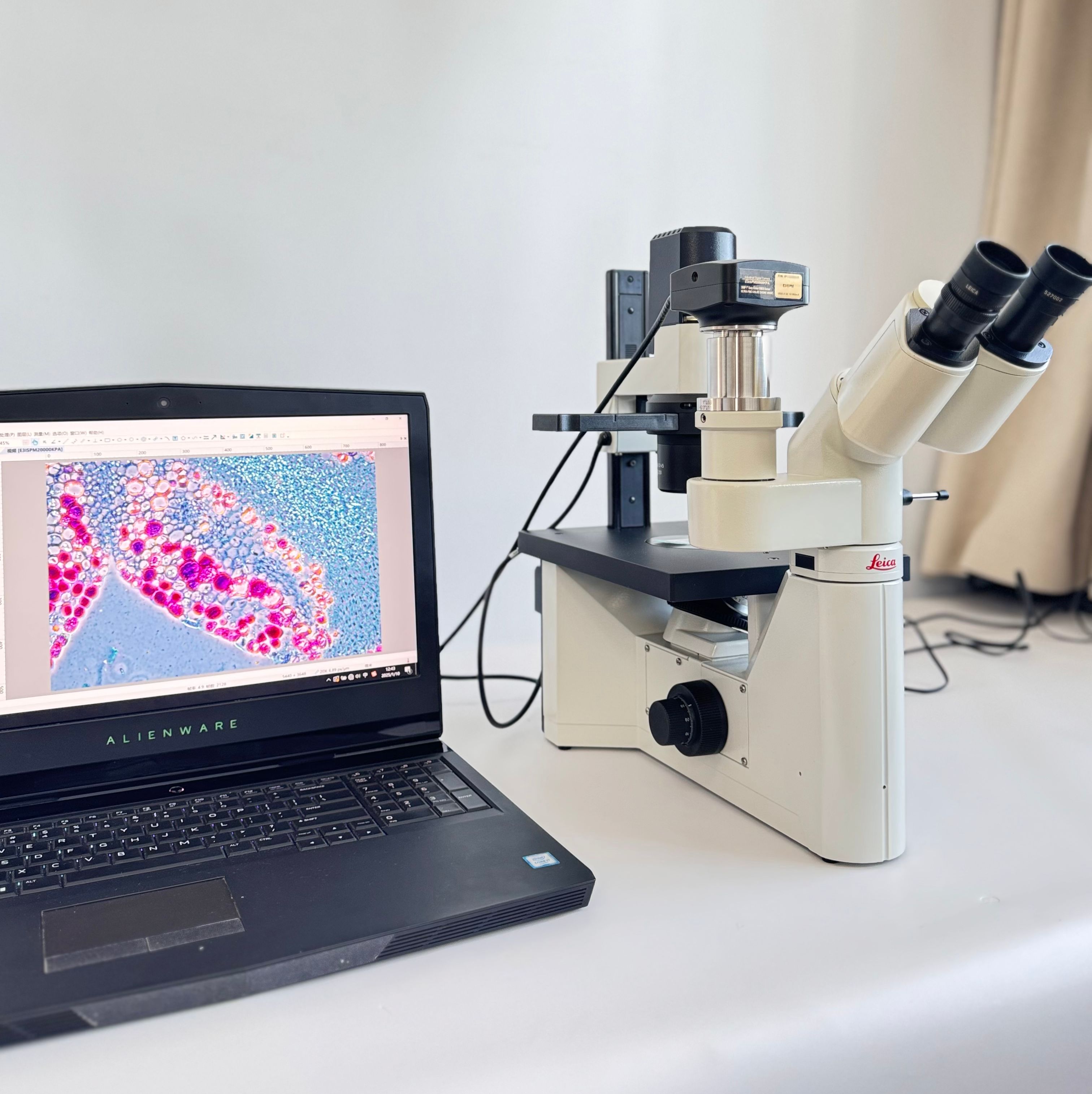 二手徕卡/leica dmil LED倒置相差显微镜带质保同时承接维修维保项目