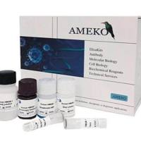 小鼠鼻病毒(RhV抗原 ELISA Kit