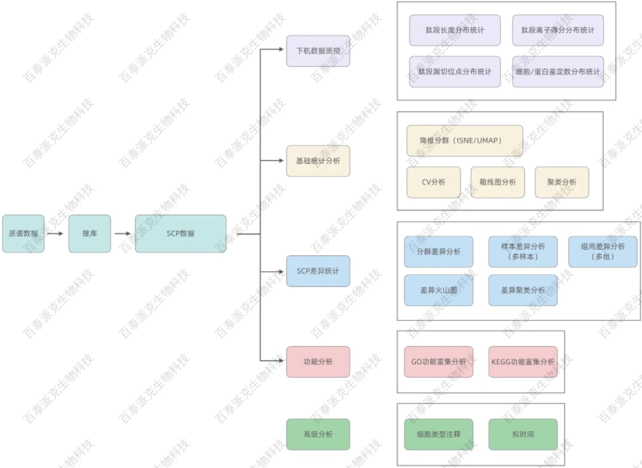 single-cell-proteomics-analysis-service-gx5-7