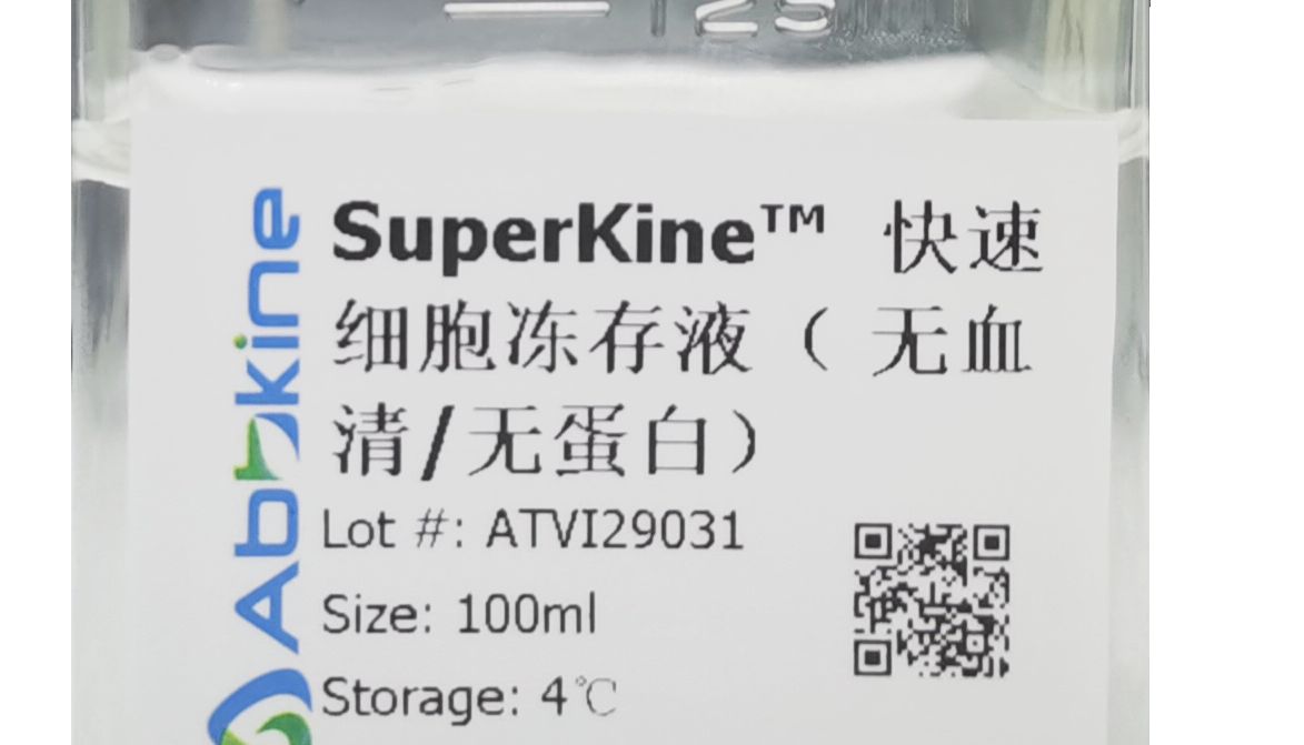 亚科因细胞冻存干货