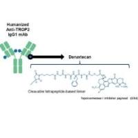 Datopotamab deruxtecan   2238831-60-0  ADC (抗体偶联药物） 靶向TROP2的ADC药物