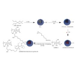 包载甲氨基阿维菌素苯甲酸盐 (EB)的中空介孔二氧化硅HMS被壳聚糖 (CS)修饰