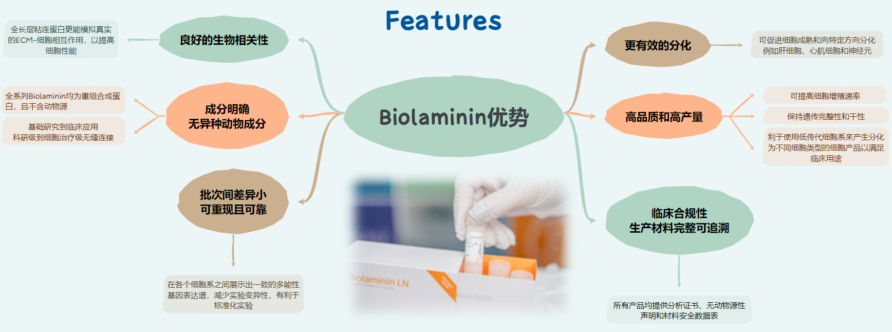 Biolaminin产品特点