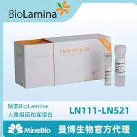 BioLamina LN111-LN521/MX521/CT521 人重组层粘连蛋白Human recombinant laminin