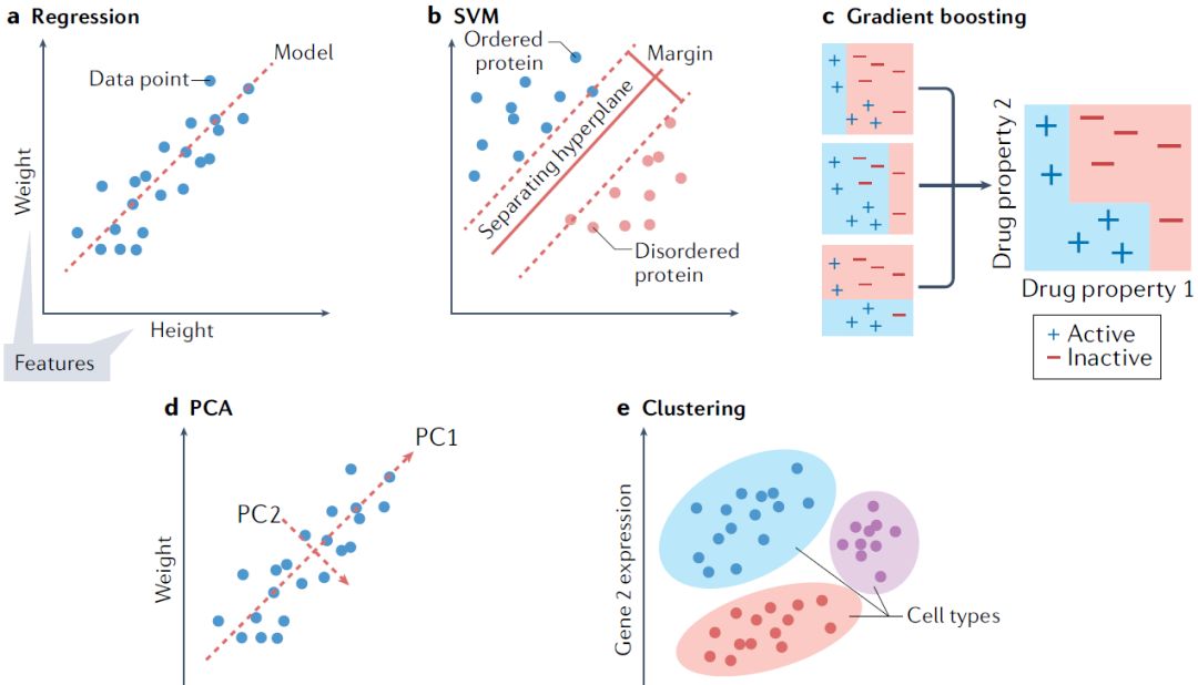 生物学家的机器学习指南（三）
