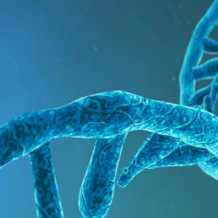 绝对定量16S rDNA-seq