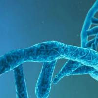 绝对定量16S rDNA-seq