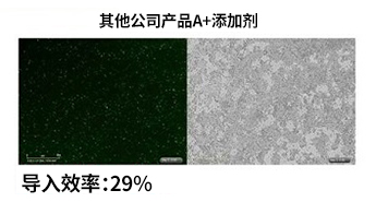 产品细节图片16