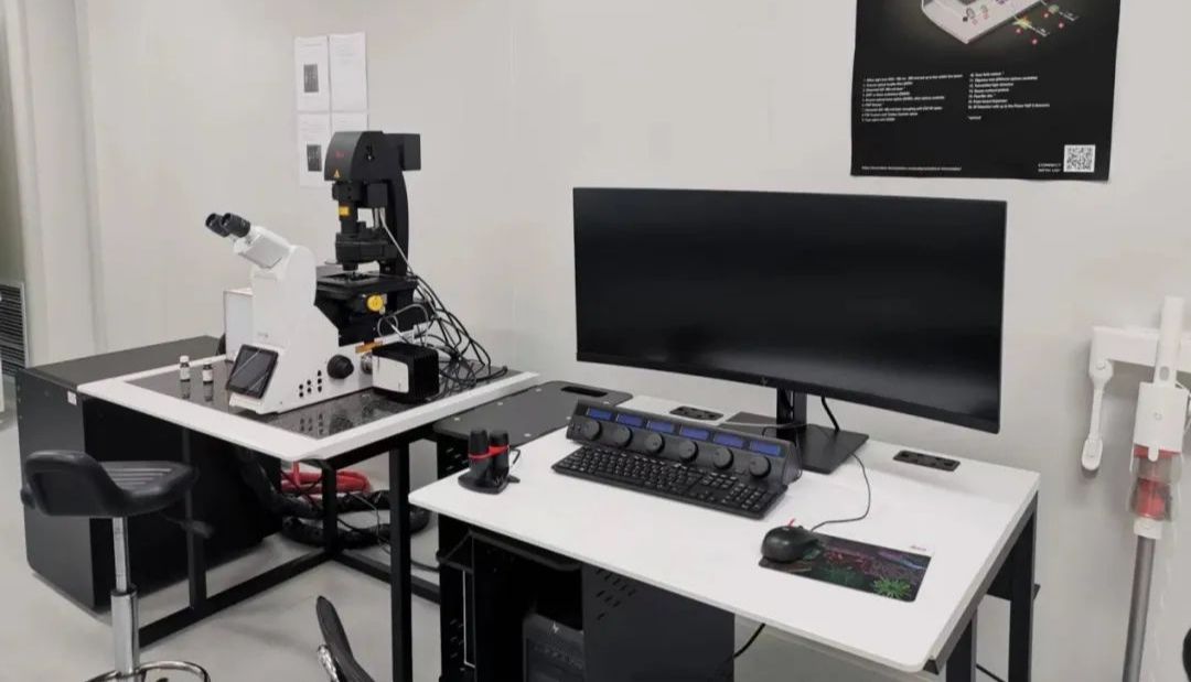 亚细胞结构超高分辨显微成像系列——线粒体