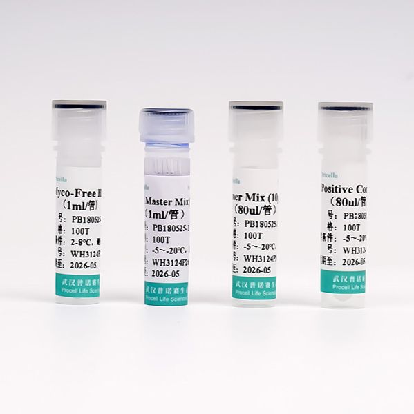 支原体快速检测试剂盒（PCR法）