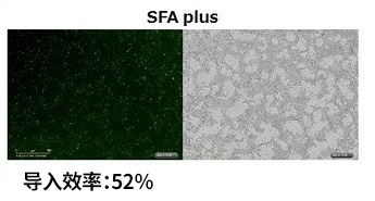 产品细节图片13
