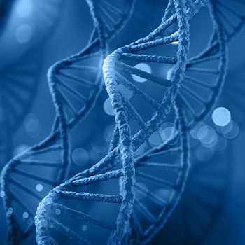 CRISPR Screen 高通量基因编辑筛选手段