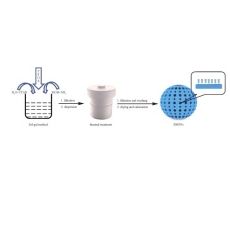 双介孔二氧化硅纳米球包载多柔比星