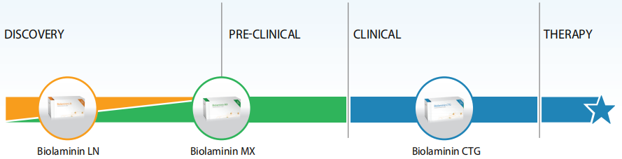Biolaminin521科研级到临床治疗级