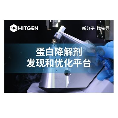 蛋白降解/表达/纯化