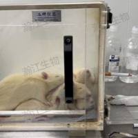 慢性阻塞性肺疾病（COPD）模型