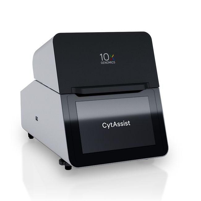 10x Visium FFPE 空间转录组测序