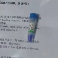 萎缩芽孢杆菌芽孢计数标准物质