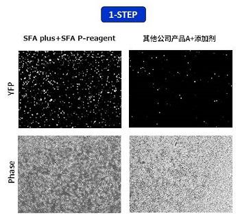 产品细节图片10
