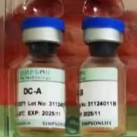 DC 细胞试剂盒