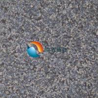 大鼠骨髓内皮祖细胞